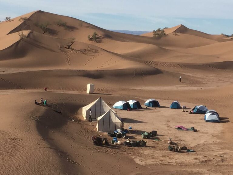 Randonnée-chamelière-au-Maroc