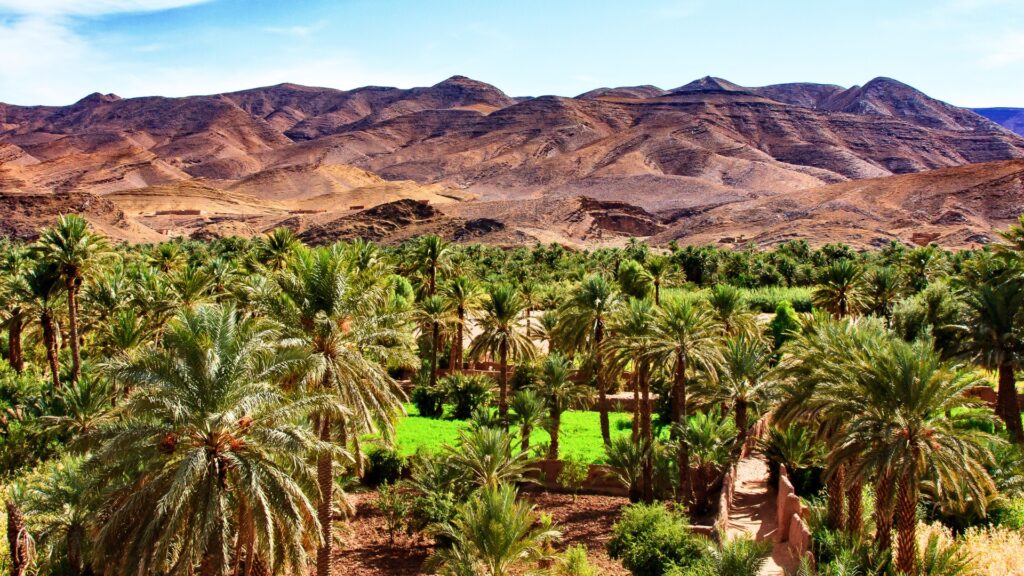 sejour famille dans le desert et la vallée du draa